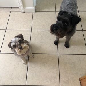 Meet your Posher, Mandy